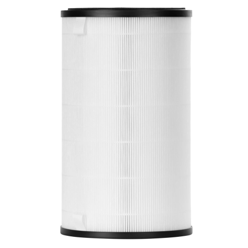 Фильтр Electrolux FAP-2075 ANTI DUST - 2