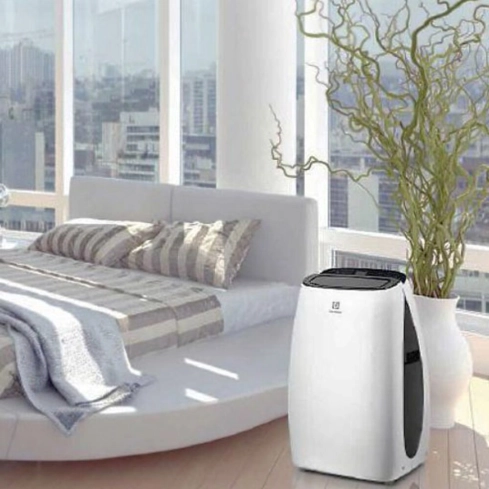 Мобильный кондиционер Electrolux EACM-10 HR/N3 - 1