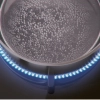 Варочная панель Electrolux IPE6492KF - 11